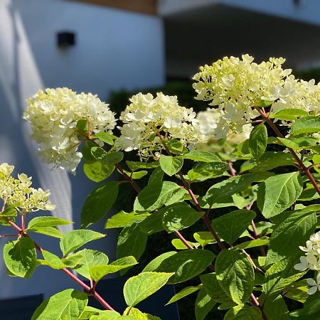 Die Bleibe Heringsdorf  Bagian luar foto